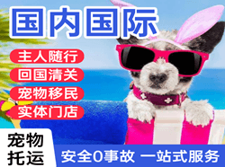 成都双流航空快递国际宠物托运 【国